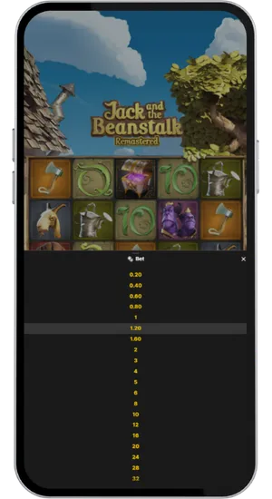 Stake adjustment controls showing coin value and bet level settings